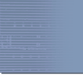network security